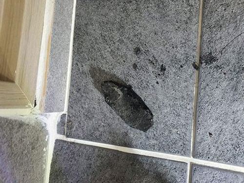 신수동 하수구막힘, 부분 세척과 전문 점검 비교
